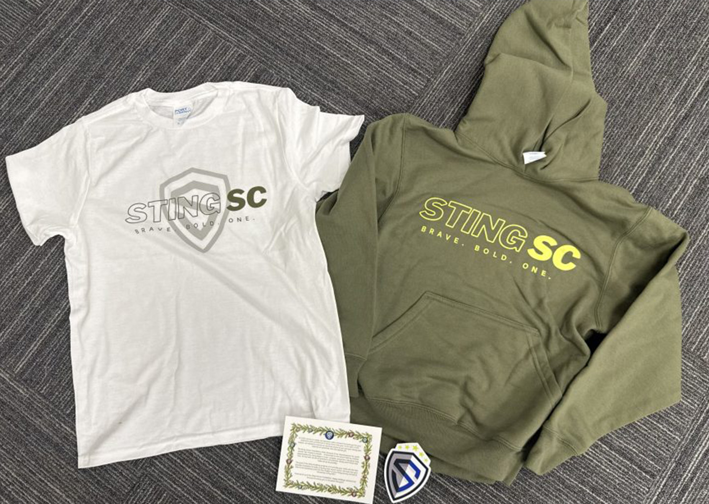 Where the Sting Journey Begins